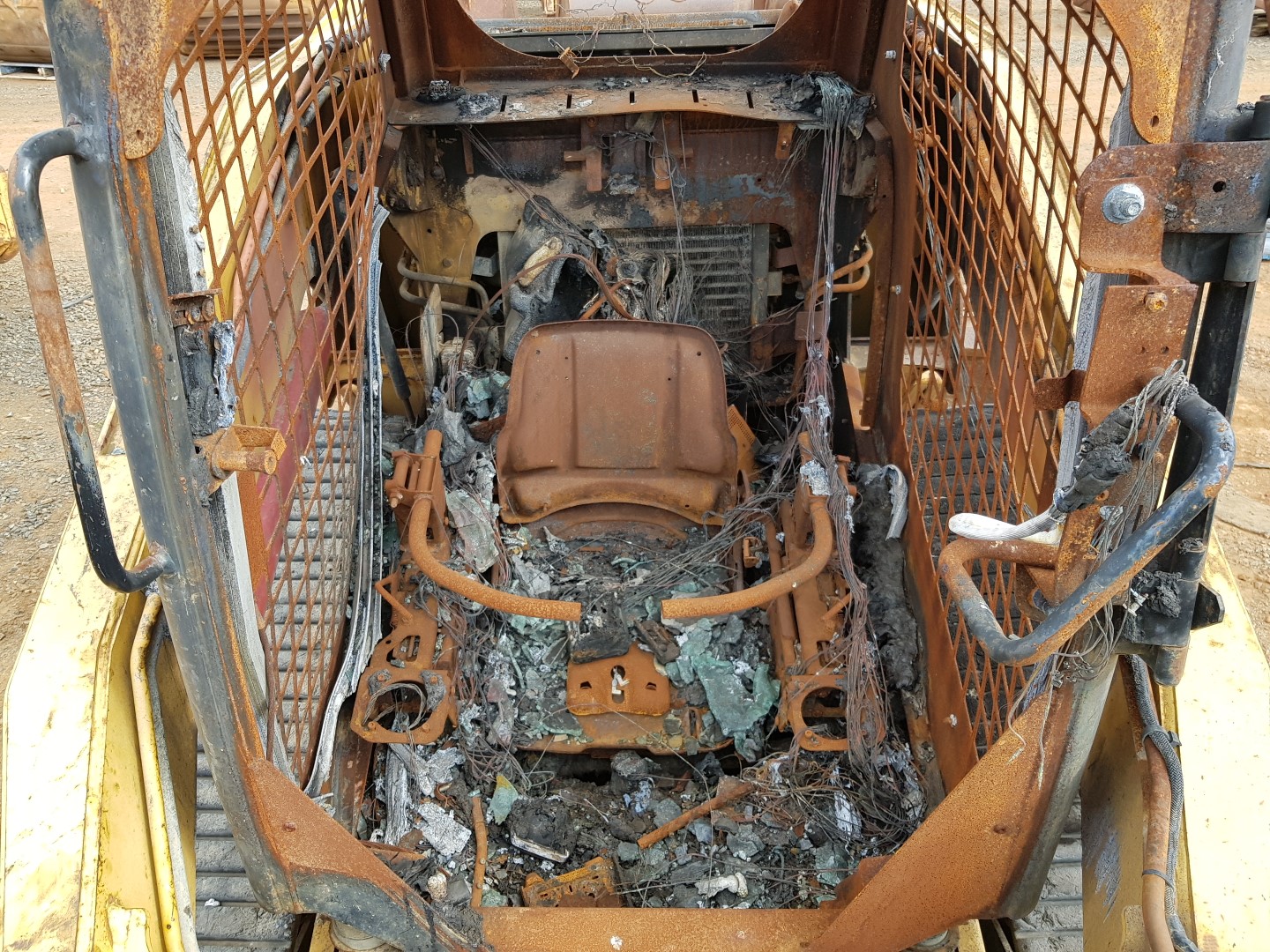 ZM008677_10.jpg